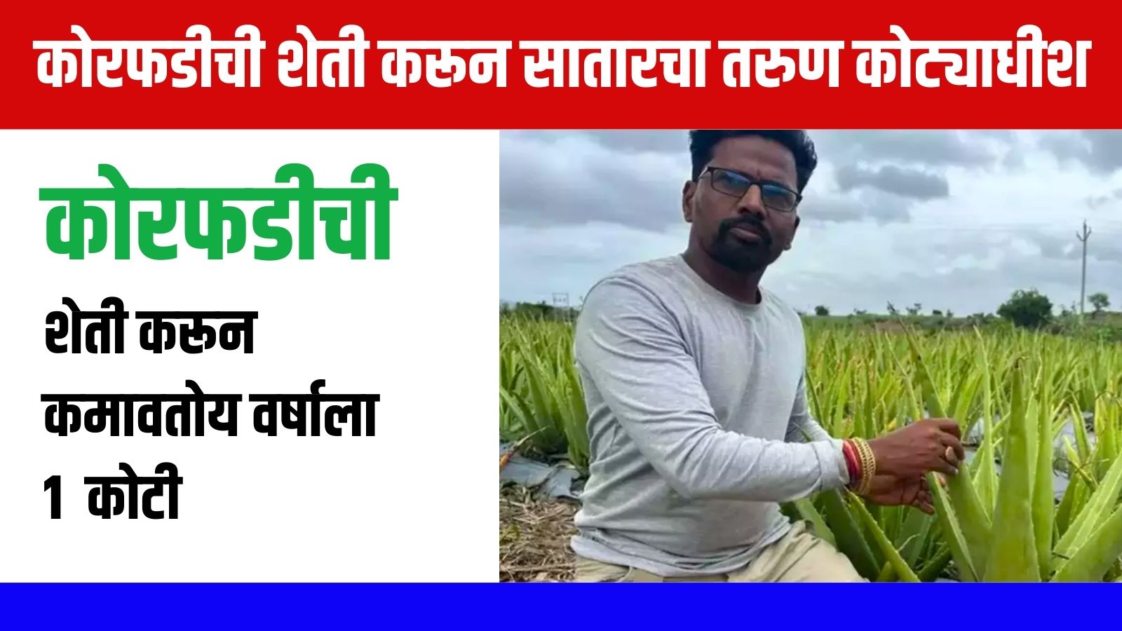 कोरफडीची शेती करून झाला सातारचा तरुण कोट्याधीश