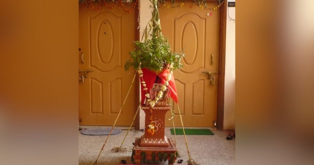तुळशी विवाह: तुळशी विवाहाचे धार्मिक महत्त्व तुम्हाला माहिती आहे का?