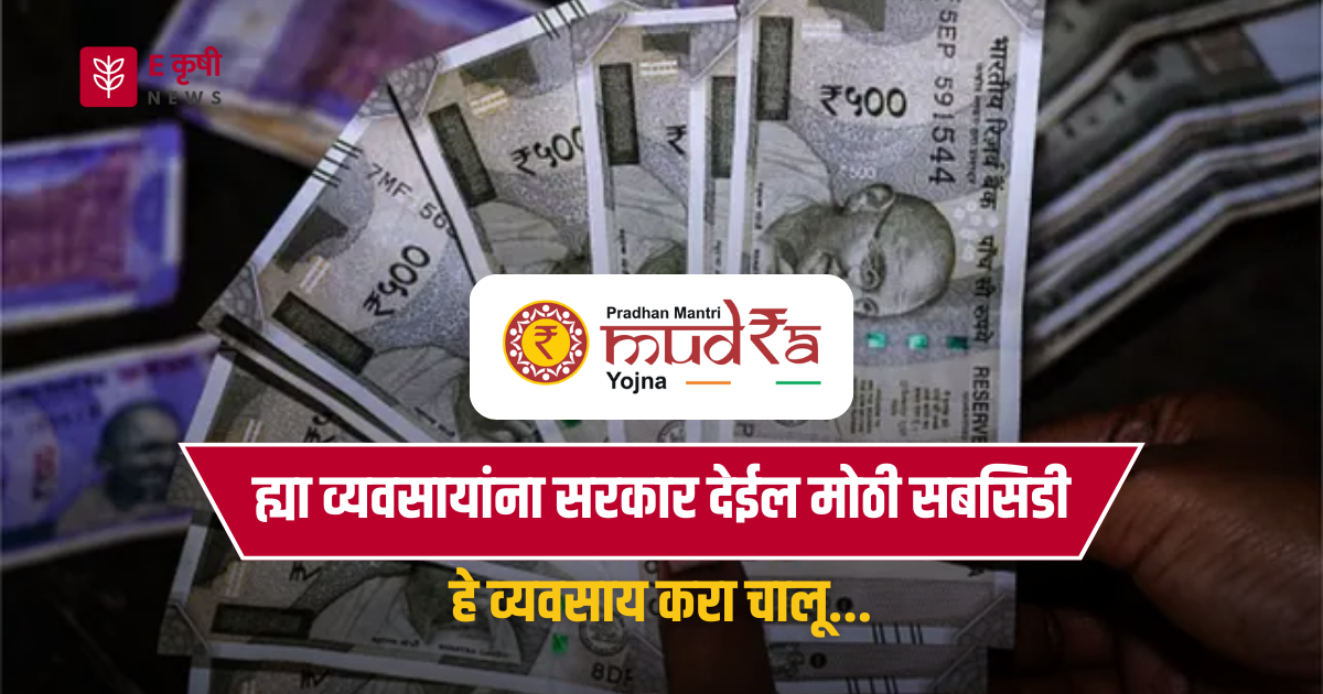 Business idea | ह्या व्यवसायांना सरकार देईल मोठी सबसिडी(मुद्रा योजना)! हे व्यवसाय करा चालू!