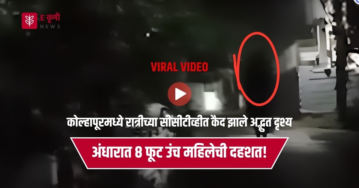 Viral Video: कोल्हापूरमध्ये रात्रीच्या अंधारात 8 फूट उंच महिलेची दहशत! सीसीटीव्हीत कैद झाले अद्भुत दृश्य