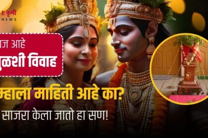 तुळशी विवाह: तुळशी विवाहाचे धार्मिक महत्त्व तुम्हाला माहिती आहे का?