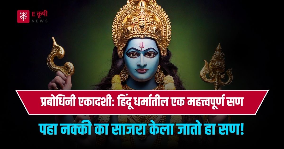 प्रबोधिनी एकादशी: हिंदू धर्मातील एक महत्त्वपूर्ण सण, पहा नक्की का साजरा केला जातो हा सण!