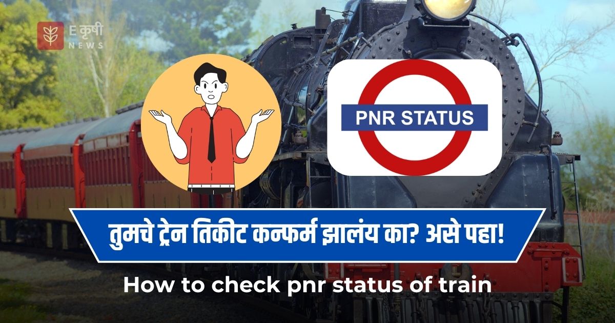 how to check pnr status of train