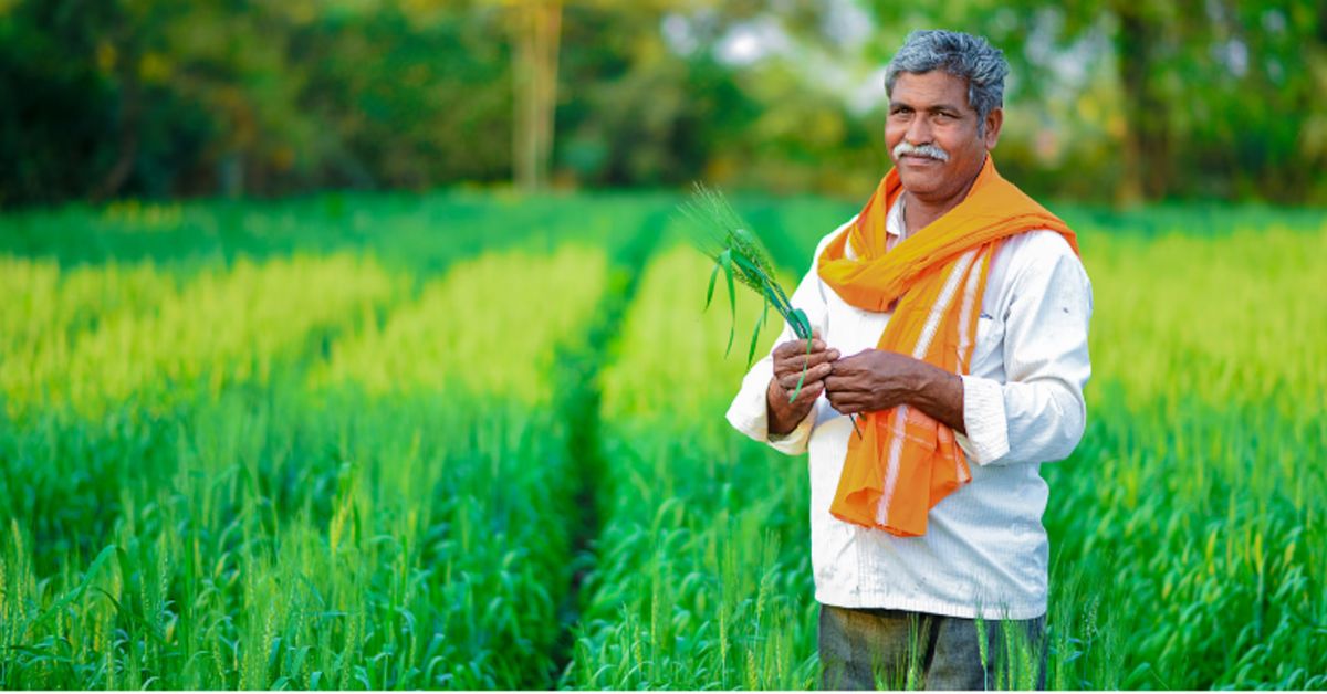Farmer free Pananand : शेतकऱ्यांसाठी खुशखबर! आता मोफत मिळणार पाणंद आणि शिव रस्ते; सरकारच्या निर्णयाने बळीराजाला मोठा दिलासा