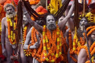 Naga Sadhus: महाकुंभानंतर कुठे जातात नागा साधू? आखाड्याच्या प्रमुखांनी उलगडले रहस्य